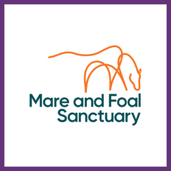 Mare and Foal Sanctuary Logo