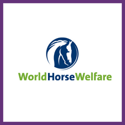 World Horse Welfare logo