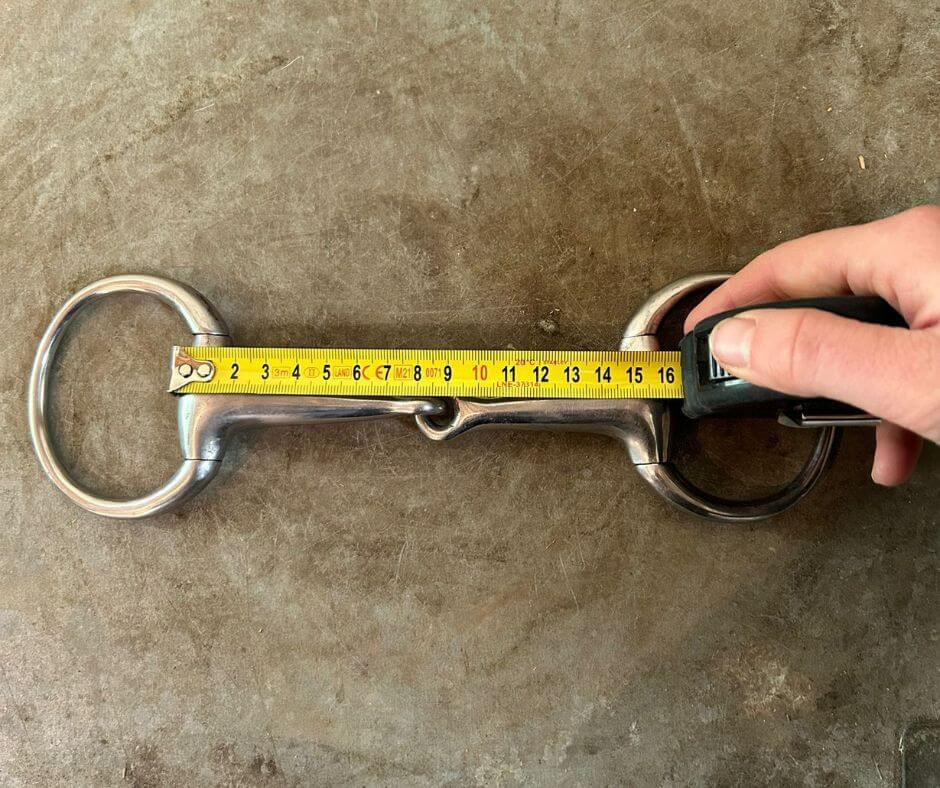 How To Measure A Horse Bit SEIB Insurance Brokers