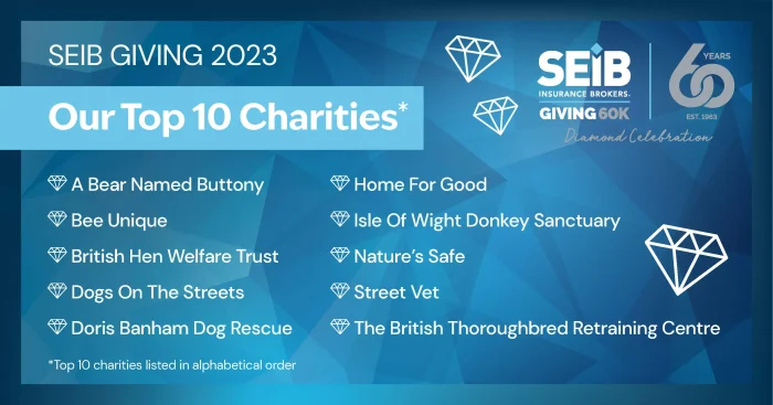 SEIB Giving charity finalists