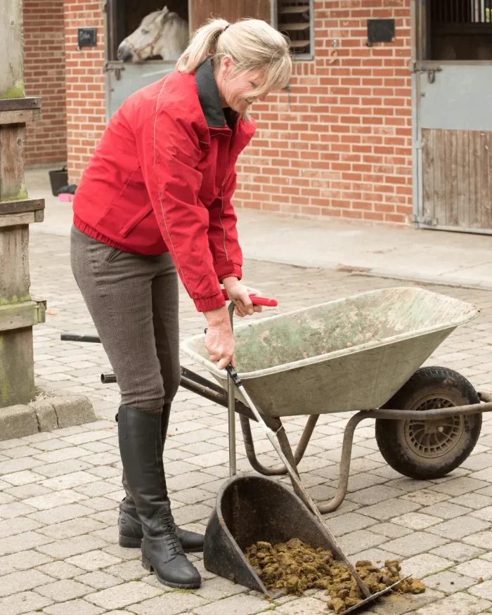 Yard owner clearing yard