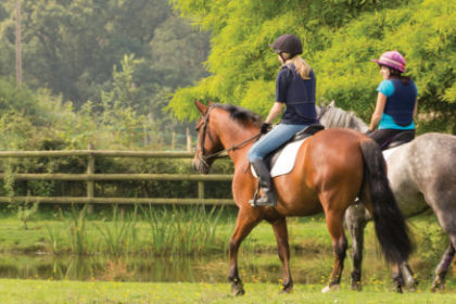 Horses riding through field