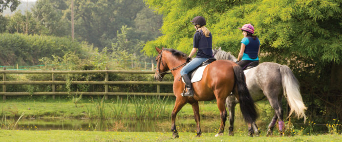 Horses riding through field