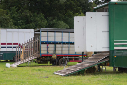 Horseboxes in a field