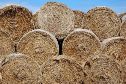 Hay Bales