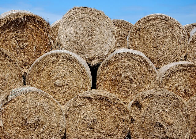 Hay Bales