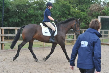 How much do horse riding lessons cost image