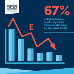 Graph showing decline in livery yard income