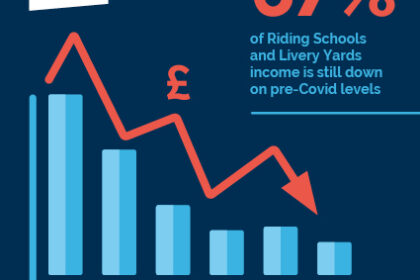 Graph showing decline in livery yard income