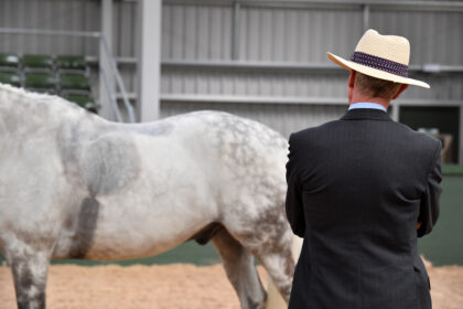 Richard Ramsay Judging