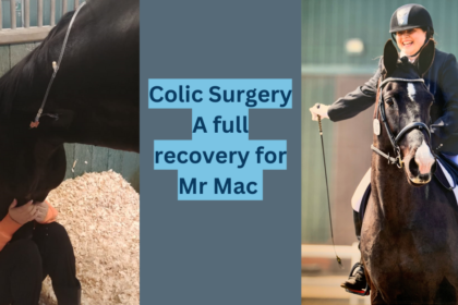 Colic surgery full recovery image