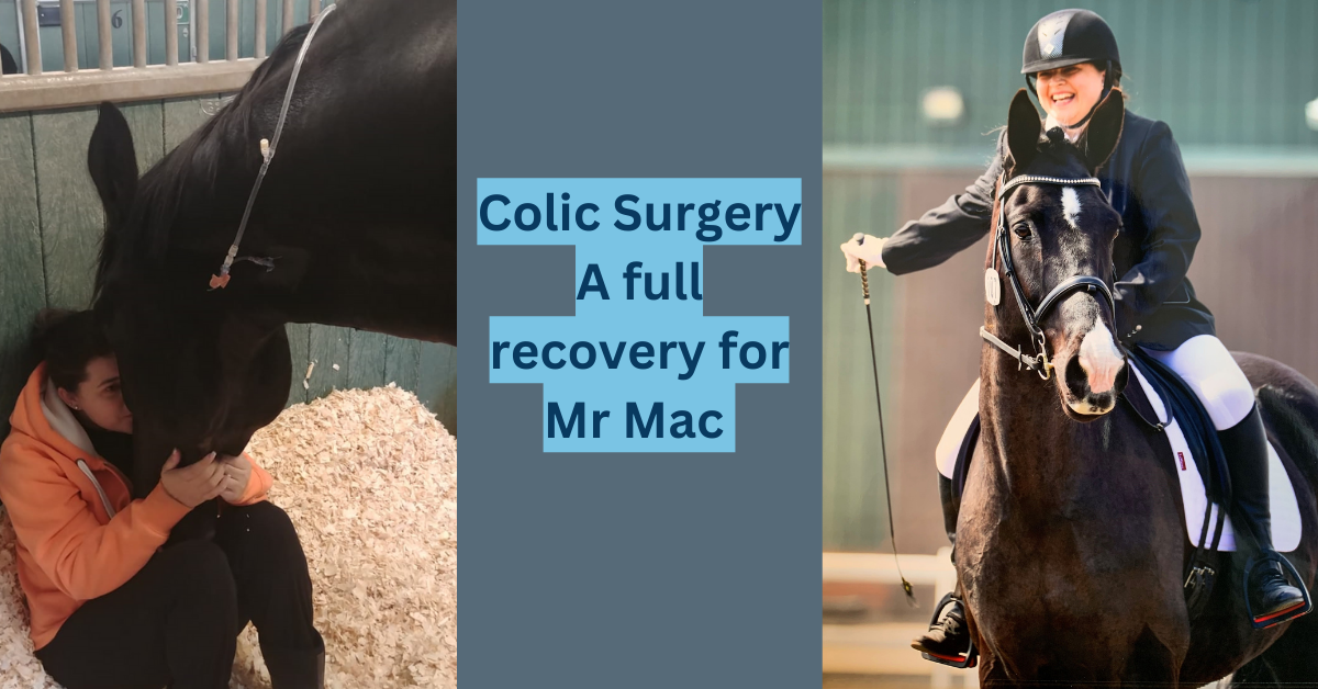 Colic surgery full recovery image