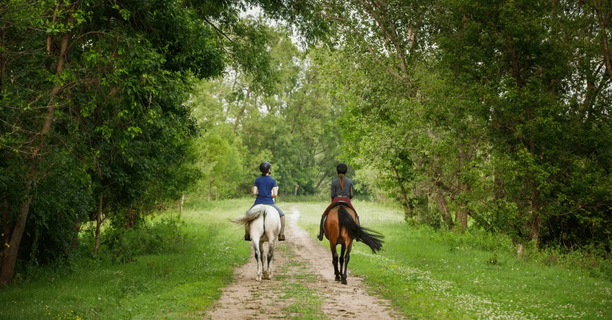 Two riders hacking