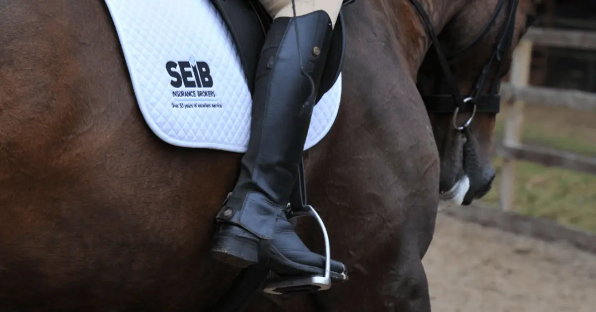 SEIB saddle pad image