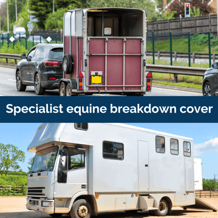 SEIB appoint Arag as new specialist equine breakdown provider