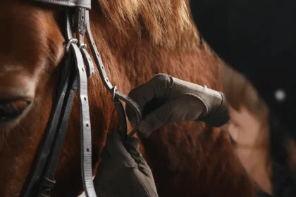 Rider putting a bridle on a horse