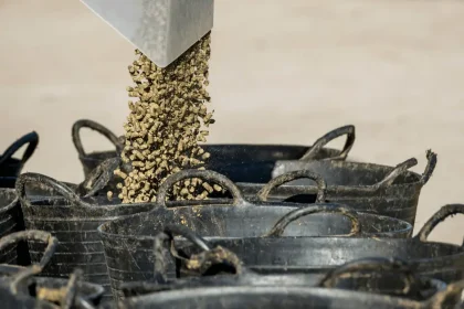 Image of horse feed and buckets