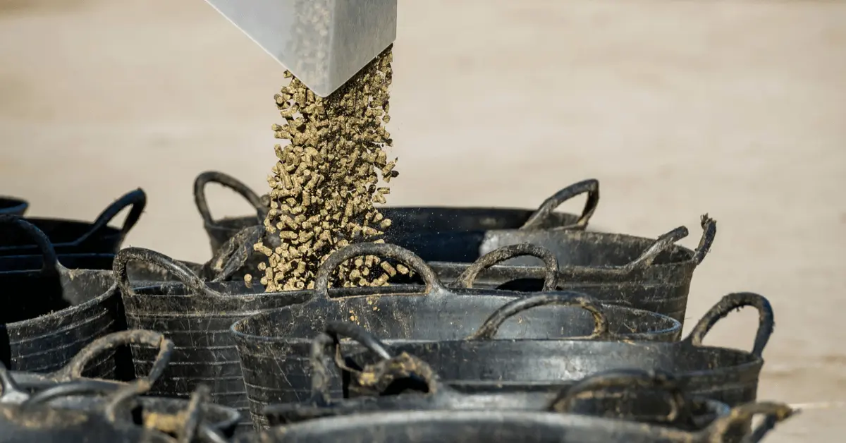 Image of horse feed and buckets