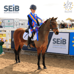 picture of horse at SEIB British Riding Clubs Winter Champs