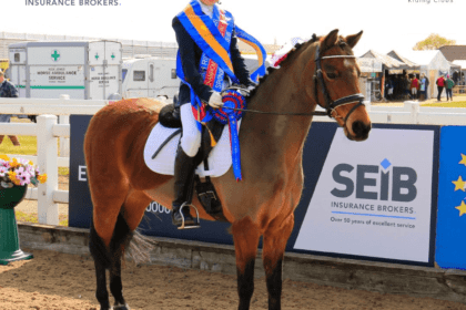 picture of horse at SEIB British Riding Clubs Winter Champs