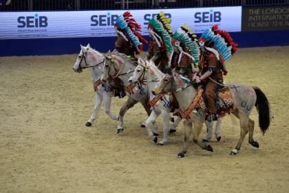 Four horses in fancy dress competing in the quadrille
