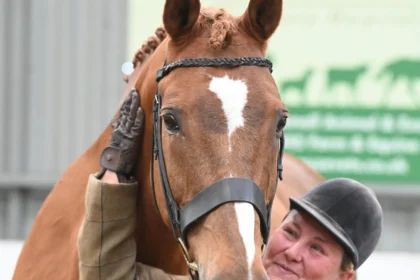 in-hand-horse-winner