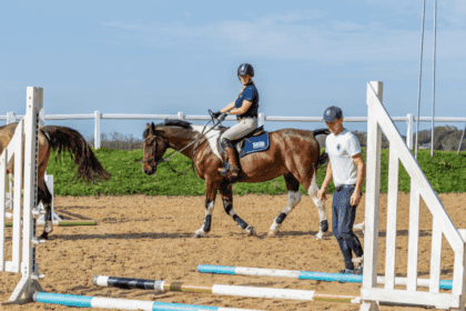 riding lesson image