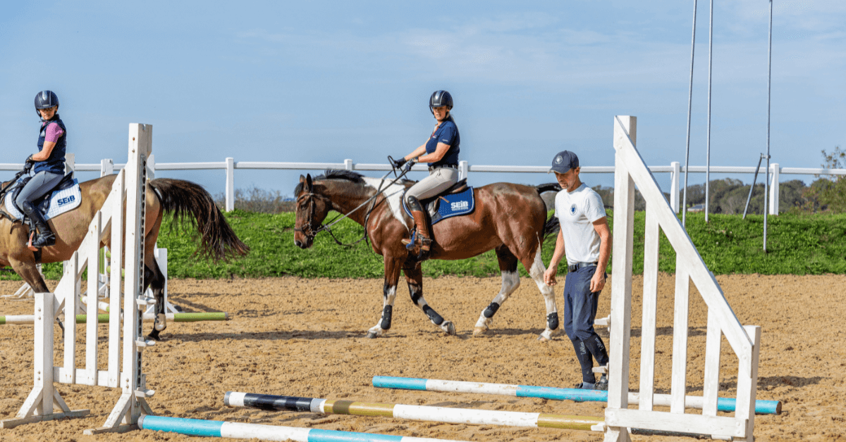 riding lesson image