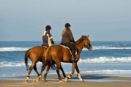 Horse Riding On Beach