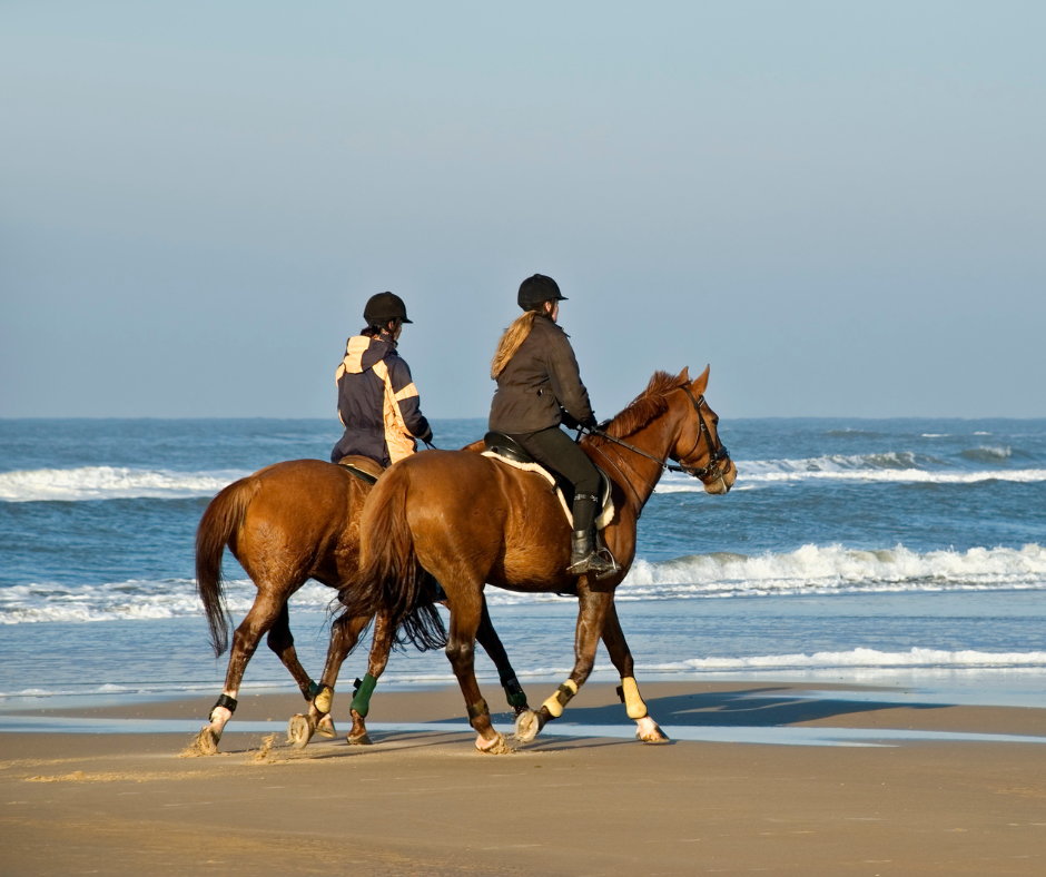 Horse Riding On Beach