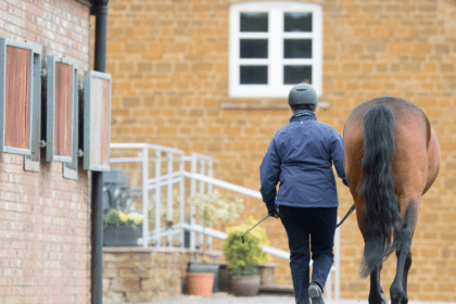 Horse Walking Up For Vetting